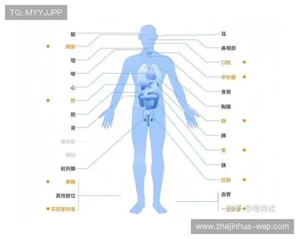 以人体为中心的全新健康生活方式探索与实践 以人体为中心的全新健康生活方式探索与实践